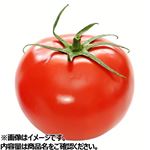 岐阜県などの国内産 トマト 1個