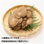 新潟県などの国内産 霜降りひらたけ 100g