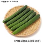 愛知県などの国内産 きゅうり大袋 1袋 【5月23日～5月25日のお受取り】