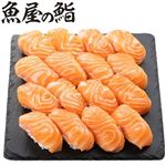 【予約】 魚屋の鮨 asc認証 生アトランティックサーモン 握り鮨 16貫 【11月22日～11月24日のお受取り】