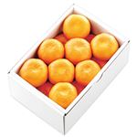 愛知県などの国内産 ハウスみかん S～M 1.2kg入り 1箱