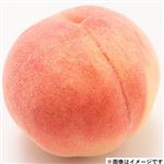 山梨県などの国内産 もも 大糖領 1個