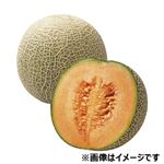 茨城県などの国内産 赤肉メロン 2L 1個
