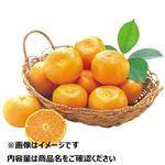 佐賀県などの国内産 ハウスみかん 8個入 1パック