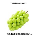 長野県などの国内産 シャインマスカット 1房