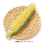 富山県などの国内産 とうもろこし 1本
