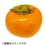 和歌山県などの国内産 たねなし柿 L 1個