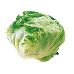長野県などの国内産 レタス 1個