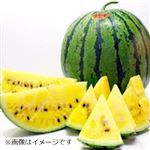 茨城県などの国内産 すいか（金色羅皇）1個