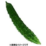 群馬県などの国内産 ゴーヤー 1本 【8月1日～8月3日のお受取り】
