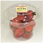 愛知県などの国内産 ミニトマト 大パック 300g入 1パック
