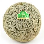 茨城県などの国内産 イバラキングメロン 3L 1個
