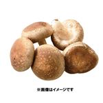 富山県などの国内産 わけあり生しいたけ 1袋