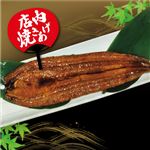 【予約】 愛知県産原料使用 店内焼き上げうなぎ蒲焼 特大 1尾 【7月17日～7月19日のお受取り】