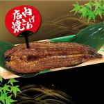 【予約】 愛知県産原料使用 店内焼き上げうなぎ蒲焼 大 1尾 【7月17日～7月19日のお受取り】
