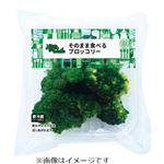 そのままコリコリブロッコリー 小