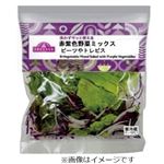 トップバリュ 赤紫色野菜MIXビーツやトレビス