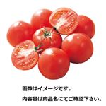 福井県などの国内産 ミニトマト（赤い鈴）約180g入 1袋