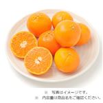 オーストラリアなどの国外産 手で皮がむけるオレンジ（大）品種：マーコット 1袋
