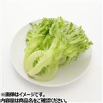 福井県などの国内産 福井のフリルレタス 1袋