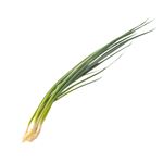 福岡県などの国内産 薬味ねぎ  1袋