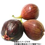 愛知県などの国内産 ハウスいちじく 少量パック 1パック