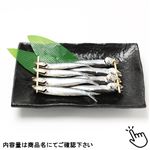 背黒目指し  4尾2連