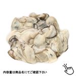 クニヒロ  広島県産かき（加熱用）100g