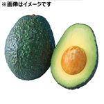 ペルーなどの国外産 アボカド 4個入1パック
