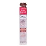 井田ラボラトリーズ キャンメイク プランプリップケアスクラブ 01 クリア 2.7g
