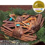 【予約】 石川県産他 ずわいがに（加熱用）1杯  【11月22日～11月23日のお受取り】