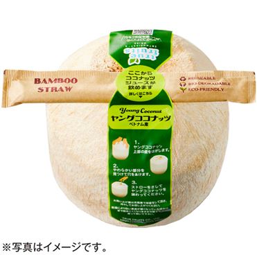 おうちでイオン イオンネットスーパー ベトナム産 ココナッツ（竹