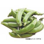鹿児島などの国内産  スナップえんどう200g（100gあたり（本体）158円） 【3月20日～3月23日のお受取り】
