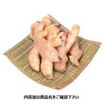 高知県などの国内産 新しょうが 200g（100gあたり（本体）98円）【6月2日～4日 配送】