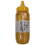 坂井養蜂場 アカシアはちみつ 500g