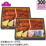 【予約】 NS限定 鰻重（鹿児島県産鰻使用）大 2パックセット 【7月17日～7月19日のお受取り】