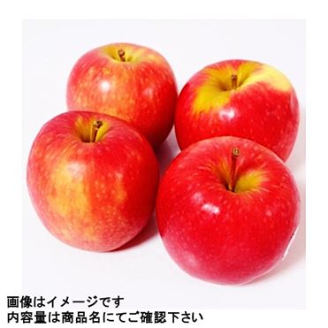 ピンバッジ・馬と犬ブロンズ色◆フランス限定ピンズ◆レアなヴィンテージものピンバッチ ピンバッジ・馬と犬ブロンズ色◇フランス限定ピンズ◇レアな