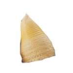 トップバリュグリーンアイ オーガニックたけのこホール小 200g 1袋