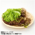 トップバリュ 岡山県などの国内産 2種のロロレタス 1パック