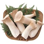 長野県などの国内産 ホクトエリンギ 150g