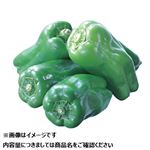 宮崎県などの国内産  トップバリュ減の恵みピーマン 130g1袋  【4月25日～4月27日のお受取り】