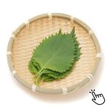 愛知県などの国内産 大葉 1袋 【5月15日～5月18日のお受取り】