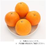 アメリカ産 オレンジ袋 1袋 【5月16日のお受取り】