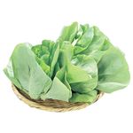 福岡県などの国内産 サラダ菜 1袋
