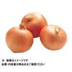 静岡県などの国内産  新たまねぎ1袋  【3月20日～3月23日のお受取り】
