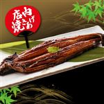 【予約】 愛知県産原料使用 店内焼き上げうなぎ蒲焼 大 1尾 【7月19日のお受取り】