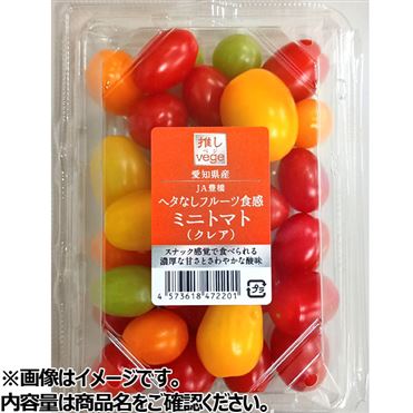 おうちでイオン イオンネットスーパー 愛知県などの国内産 ミニトマト