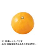 熊本県などの国内産 早出しみかん 1個 Lサイズ