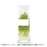 静岡県などの国内産 サラダセロリ 1パック