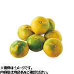 三重県などの国内産 早だしみかん 柑 550g 1袋